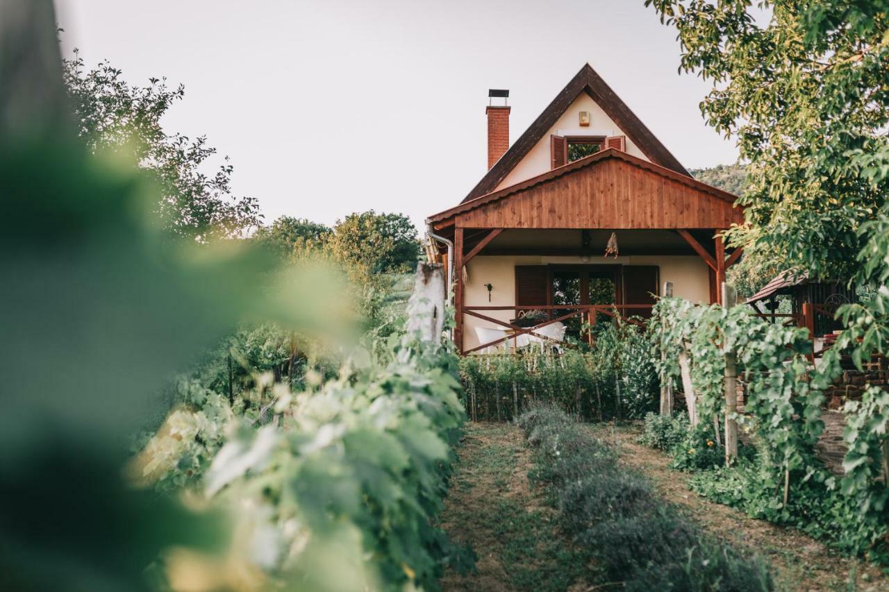 Szent Gyoergy Cottage Hegymagas Exteriér fotografie